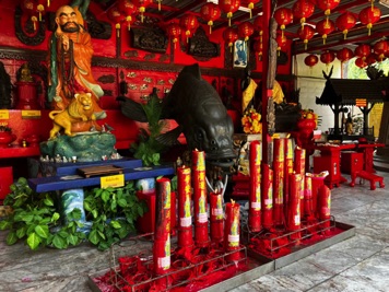 WhatsApp Image 2026-03-14 at 12.23.48 (1)